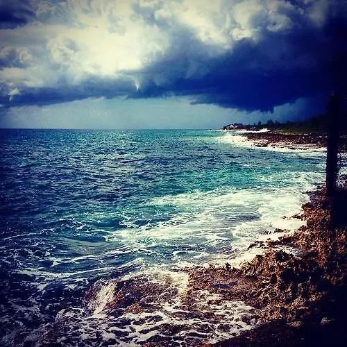 Hotel Jackies On The Reef Negril