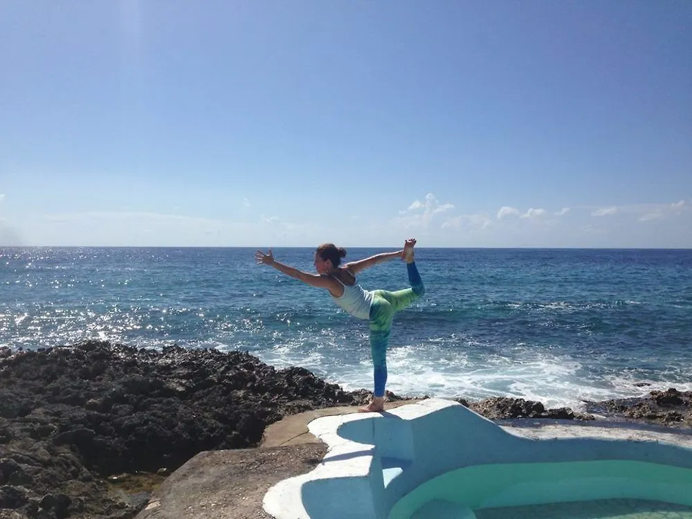 Jackies On The Reef Hotel Negril