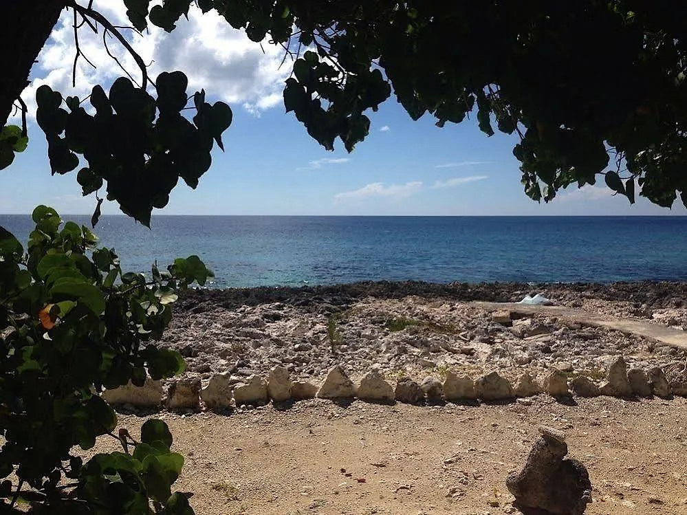 Jackies On The Reef Hotel Negril
